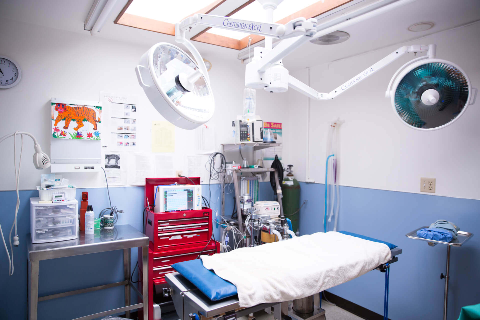 Animal Surgery Center - Town & Country Animal Hospital
