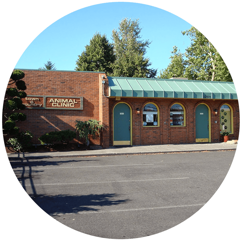 Town & Country Animal Hospital