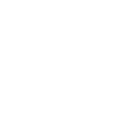 Town & Country Animal Hospital - Portland - OR